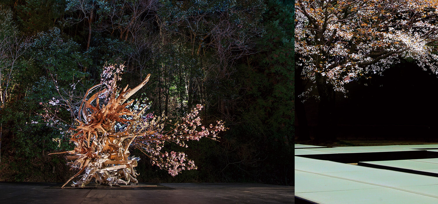 桜の樹のもとで春のお料理を愉しむことのできる特別な「花見席」を、華道家辻雄貴が空間演出。